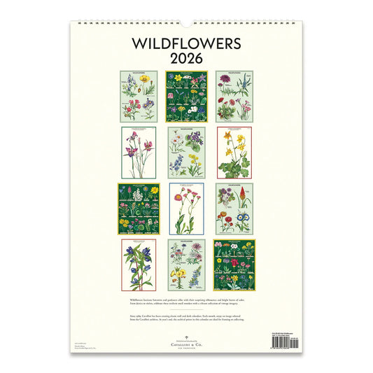 Cavallini Wall Calendar-Wildflowers 2026