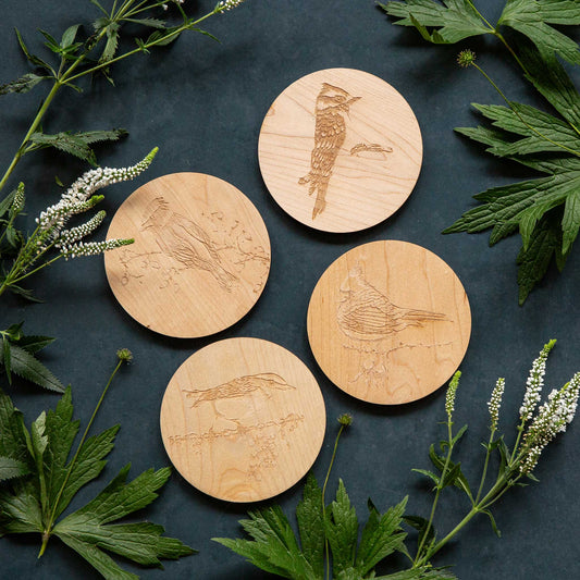 Laura Zindel Maple Coasters-Set of 4-Birds