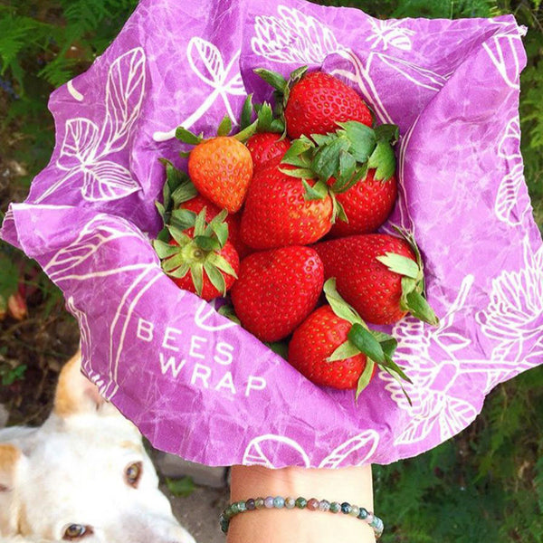 Bee's Wrap with fresh strawberries