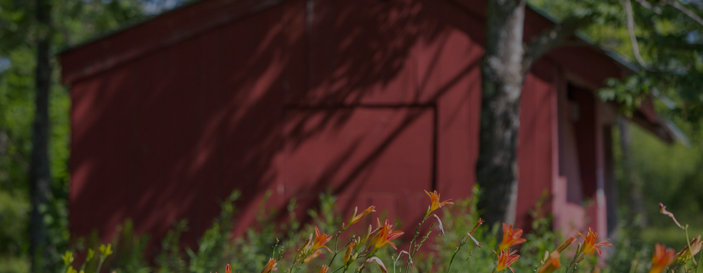 Red barn building in the summer