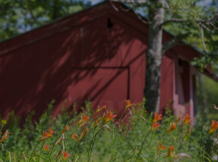 Red barn building in the summer