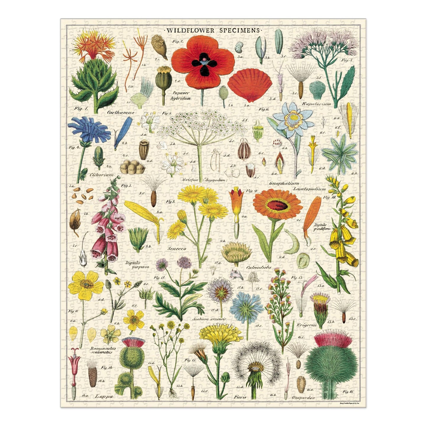 Cavallini 1,000 Piece Puzzle Wildflowers