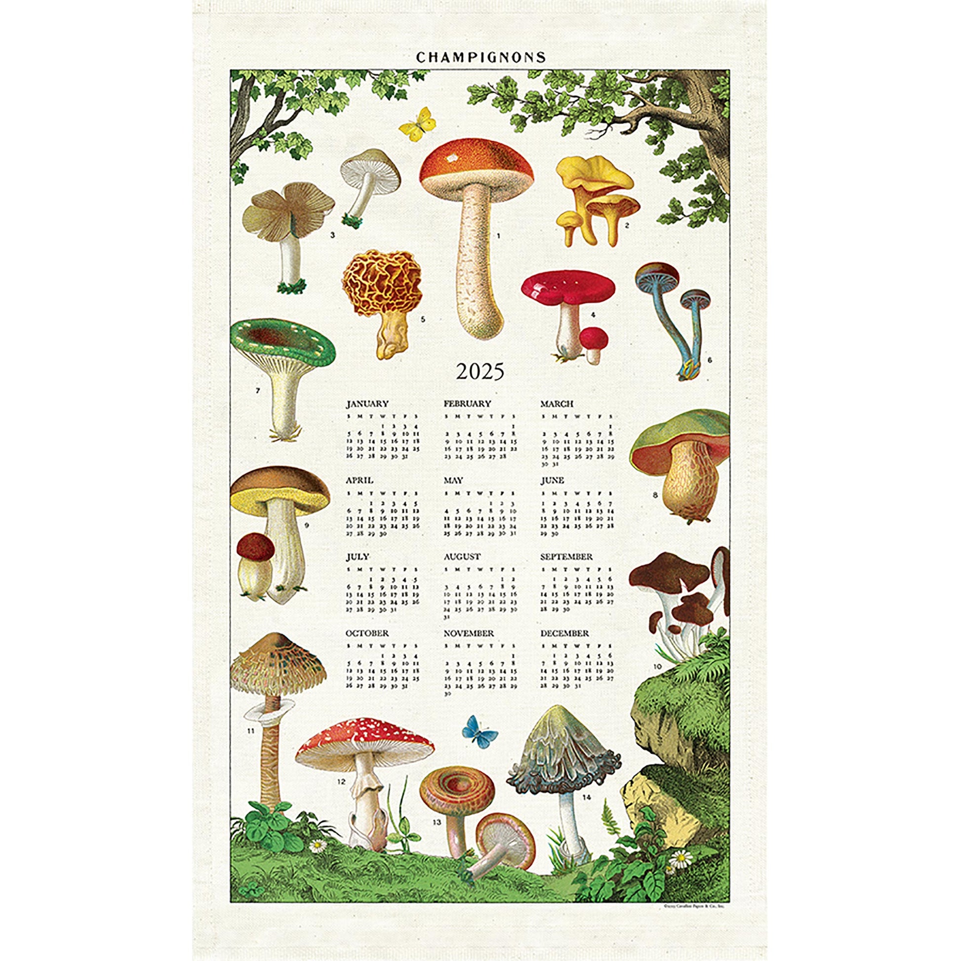 Cavallini Tea Towel CalendarMushrooms 2025 JK Adams