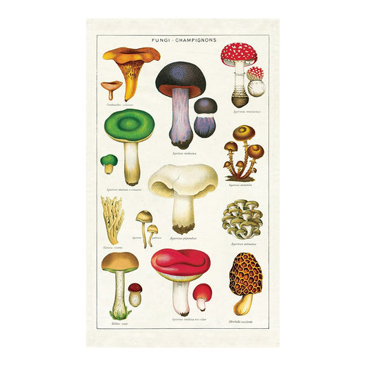Cavallini Tea Towel-Mushrooms