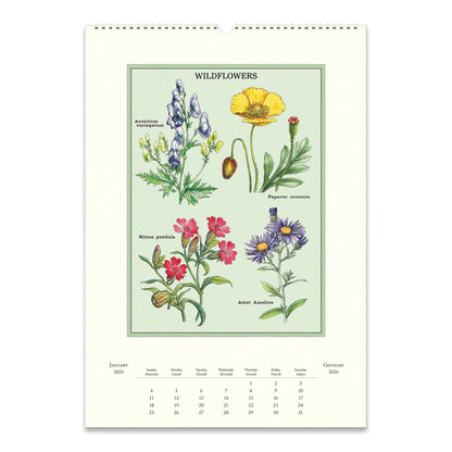 Cavallini Wall Calendar-Wildflowers 2026