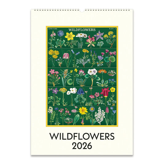 Cavallini Wall Calendar-Wildflowers 2026