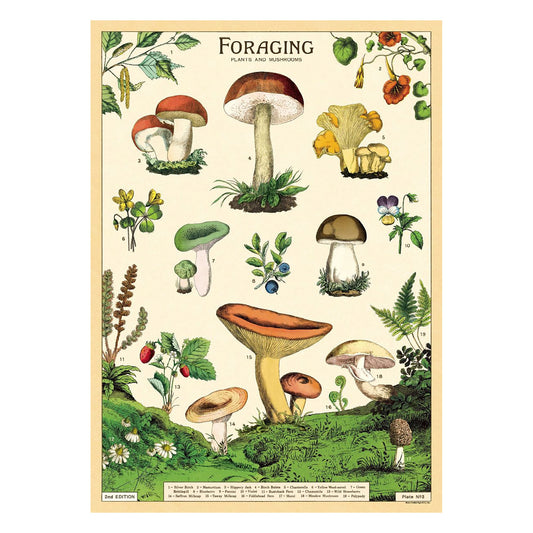 Cavallini Vintage Poster Forage