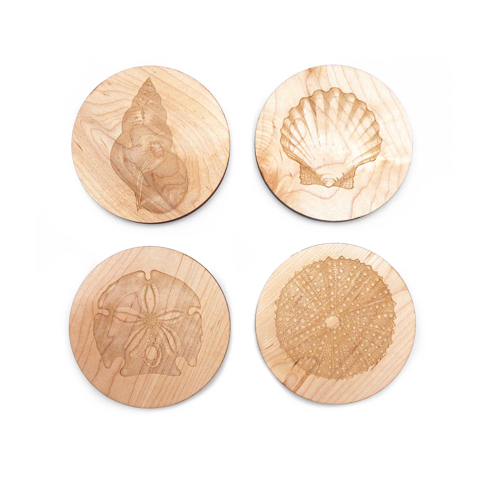 Laura Zindel Maple Coasters-Set of 4-Shells | JK Adams