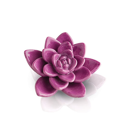 Nora Fleming Mini Succulent (Get Growing)